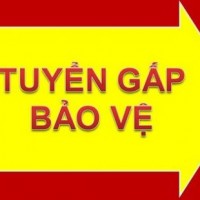 TUYỂN DỤNG BẢO VỆ